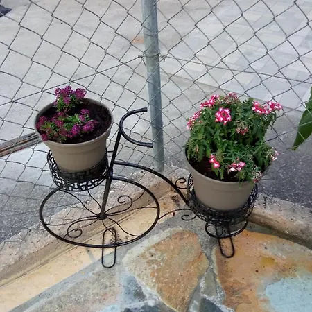 Annas 2 Agios Nikolaos (Chalkidiki)